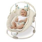 Bright Starts Comfort & Harmony Bouncer Review